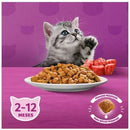 Ração Whiskas Carne e Leite para Gatos Filhotes